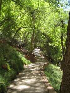 Trail to Weeping Rock