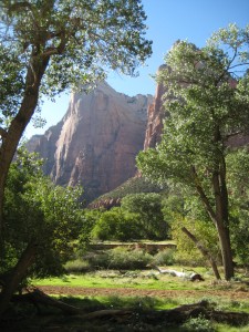 Zion from the Shuttle