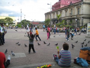 A day in the plaza