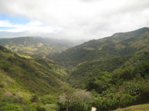 Cloud Forest of Monteverde