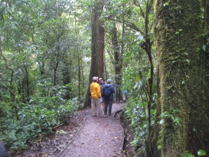 Hiking in the Monteverde Cloud Preserve