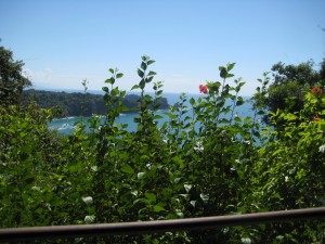 View of ocean from hike in Manuel Antonio Park