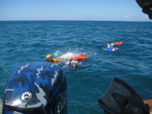 Snorkelers in the Pacific