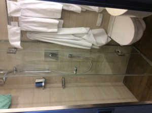Our stateroom shower room